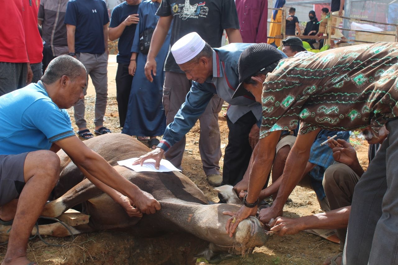 Sembelih 8 Hewan Kurban, Lapas Batulicin Berbagi Untuk WBP dan Warga Sekitar