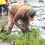 Pemprov Kalsel Optimis Panen Padi Seluas 100 Ribu Hektare Pada Tahun 2023