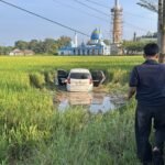Mobil Tercebur ke Sawah di Kersik Putih, Damkar Evakuasi Tanpa Korban