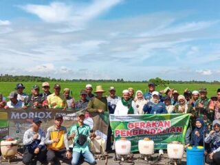 BPTPH Kalsel Siapkan Strategi Hadapi Kemarau Panjang 2026