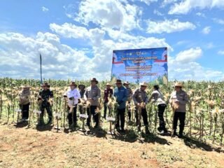 Polres Tanah Bumbu Ikuti Panen Raya Jagung Serentak dan Launching SPPG Polri