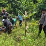 Warga Satui Tanah Bumbu Digegerkan Penemuan Mayat di Perkebunan