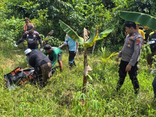 Warga Satui Tanah Bumbu Digegerkan Penemuan Mayat di Perkebunan