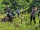 Warga Satui Tanah Bumbu Digegerkan Penemuan Mayat di Perkebunan