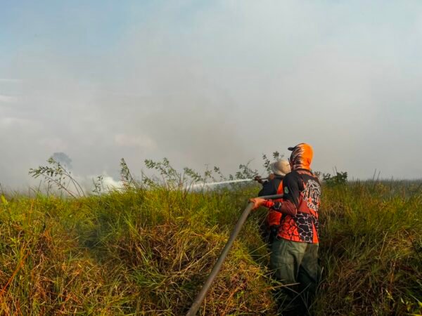 BPBD Tanah Bumbu Tangani 52,25 Hektare Karhutla dari 29 Kejadian