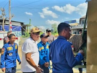 Beruang Masuk Permukiman Warga Gunung Antasari, Satpol PP & Damkar Tanah Bumbu Berhasil Amankan Dengan Perangkap