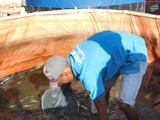 Dikelola Warga Binaan, Kolam Lele Lapas Batulicin Panen 51 Kg