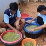 Lapas Batulicin Kembali Produksi 17 Kg Tauge, Pembinaan Kemandirian Terus Bergerak