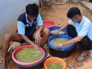Lapas Batulicin Kembali Produksi 17 Kg Tauge, Pembinaan Kemandirian Terus Bergerak