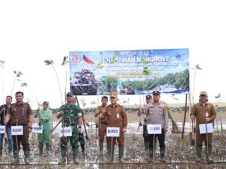 Bupati Tanah Bumbu Apresiasi Penanaman 1.000 Mangrove, Wujud Sinergi TNI dan Pemda