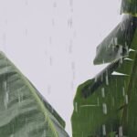 Hujan Lebat Disertai Petir Guyur Tanah Bumbu, Apakah Musim Kemarau Berakhir?