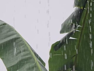 Hujan Lebat Disertai Petir Guyur Tanah Bumbu, Apakah Musim Kemarau Berakhir?